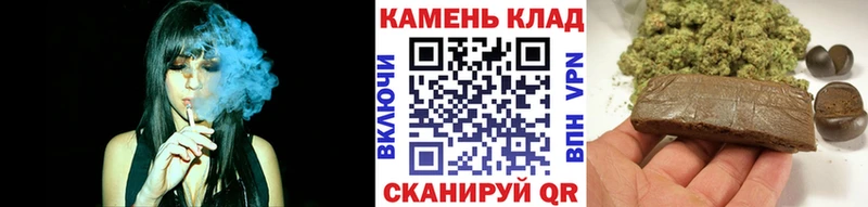 ГАШ Premium  Новомосковск 
