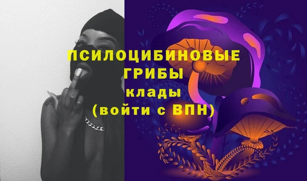 jwh Верея