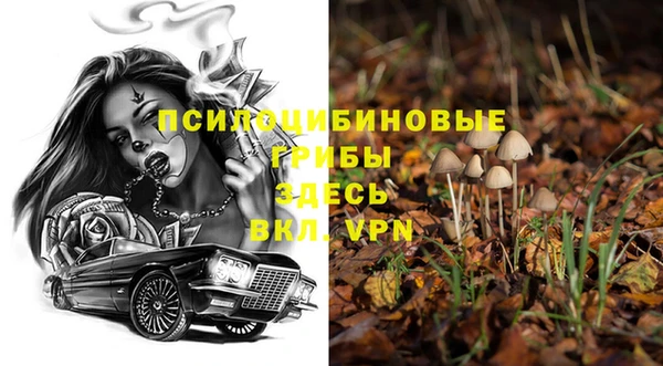 jwh Верея
