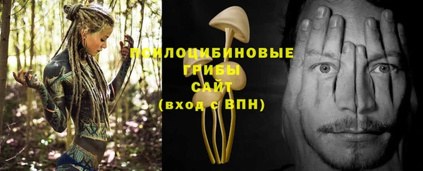 jwh Верея