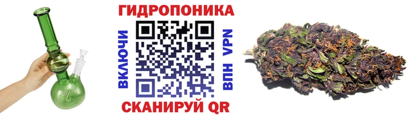 Конопля White Widow  где купить   Новомосковск 